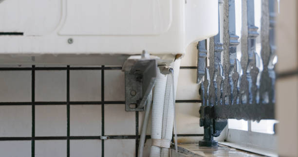 Best Insurance-Related Mold Remediation in Madeira Beach, FL